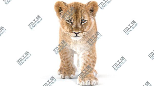 images/goods_img/20210312/Baby Lion Animated Fur 3D model/1.jpg